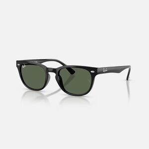 COPY - COPY - Ray-Ban Black Sunglasses